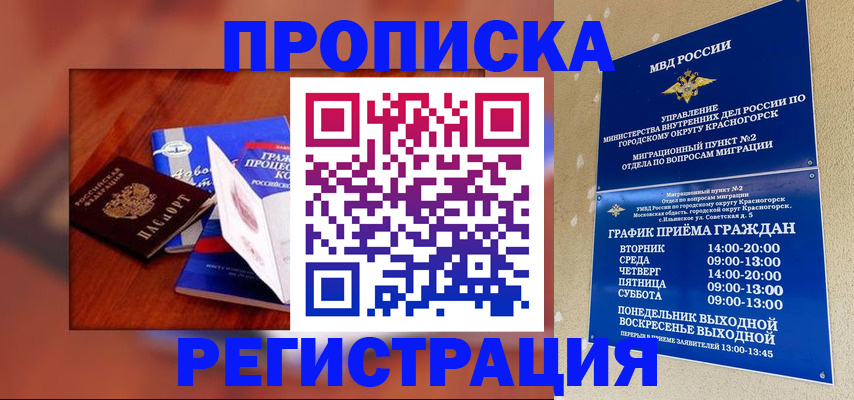временная регистрация для школы в Кудрово